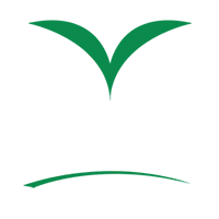 Texas Street Sweeping and Commercial Maintenance company, More Clean of Texas Logo